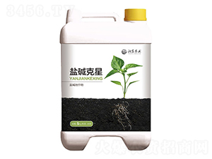 �}�A����-�h���r(n��ng)�I(y��)