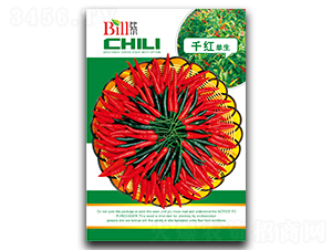 ǧ�t����-�����N��-�Ƞ�