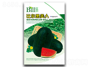 �Ƞ�������-���ϷN��-�Ƞ�