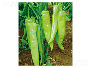 ƽ��9199-�����N��-ƽ�S�N�I(y��)