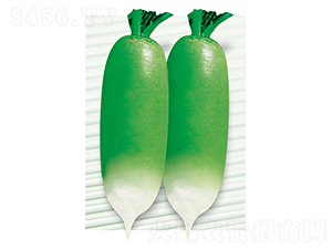 ƽ�S��̖-�}���N��-ƽ�S�N�I(y��)