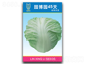 �@���@45��-�ײ˷N��-���d��