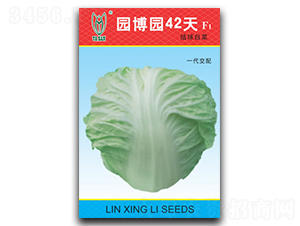 �@���@42��-�ײ˷N��-���d��