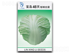 ���u46��-�ײ˷N��-���d��