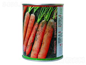 ������-���}���N��-���d��