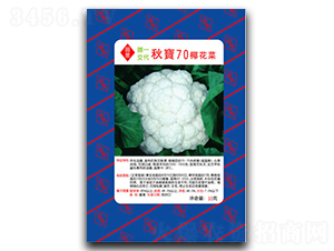 �70-��Ҭ�˷N��-���d��