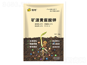 500g�VԴ�S�����-ٝ��