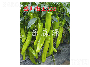 ʢ������303-�����N��-��ɭԴ