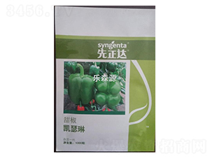 �Pɪ��-�����N��-��ɭԴ