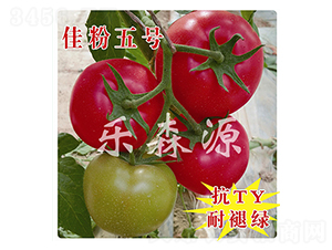 �ѷ���̖-���ѷN��-��ɭԴ