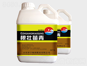 ���������_ʩ��-��퍷ʘI(y��)