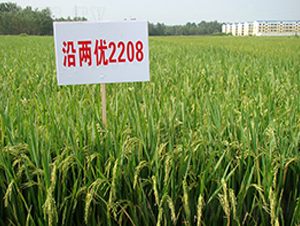 �}�Ƀ�(y��u)2208-ˮ���N��-���r(n��ng)�l(f��)