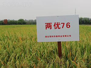 �Ƀ�(y��u)76-ˮ���N��-���r(n��ng)�l(f��)