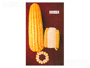 ����5̖-���׷N��-���r(n��ng)�l(f��)