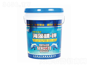 ������Һ�w��-���徫���-�ʺͷʘI(y��)