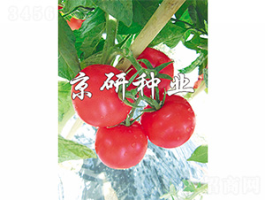 ����102-���ѷN��-����