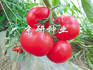 ����103-���ѷN��-����