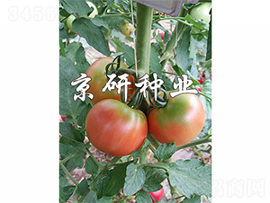 ����302-���ѷN��-����