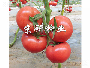 ����402-���ѷN��-����