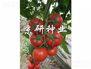 ����602-���ѷN��-����