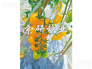 �����S��2̖(h��o)-���ѷN��-����