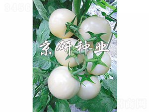 ����������-���ѷN��-����