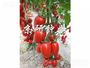 �����t�_2̖(h��o)-���ѷN��-����