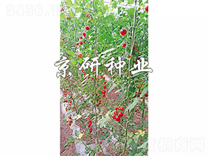 ������˼��-���ѷN��-����