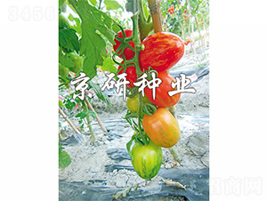 �����в�2̖(h��o)-���ѷN��-����