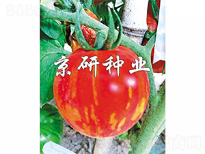 �����в�3̖(h��o)-���ѷN��-����