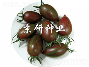 ����3̖(h��o)-���ѷN��-����