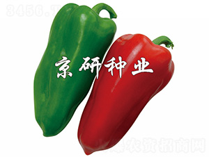 ����101-�����N��-����