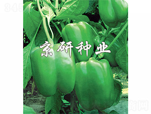 ����3̖-�����N��-����