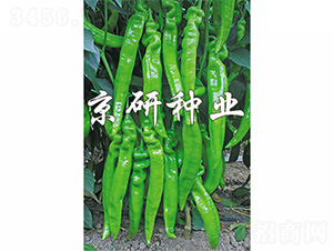 ����901-�����N��-����