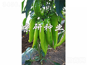 ����903-�����N��-����