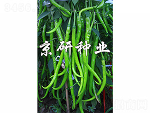 ����410-�����N��-����