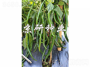 ����428-�����N��-����