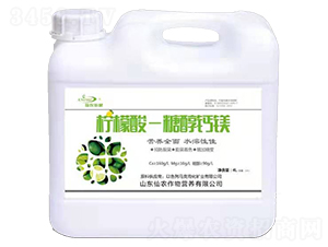 4L�����ᡤ�Ǵ��}�V-���r(n��ng)����