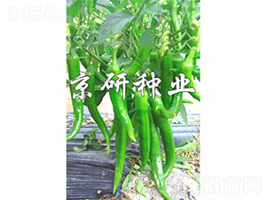 ����216-�����N��-����