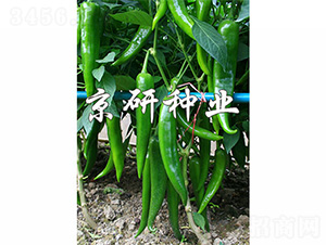 ����316-�����N��-����