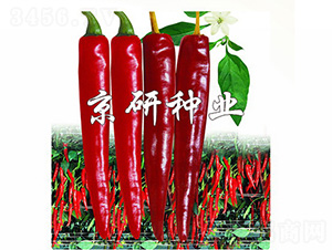 ����118-�����N��-����