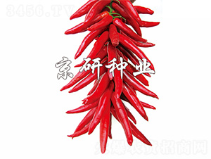 ����2̖-�����N��-����