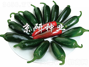 ����104-�����N��-����