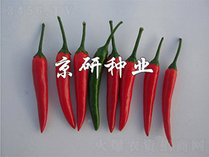 ����112-�����N��-����