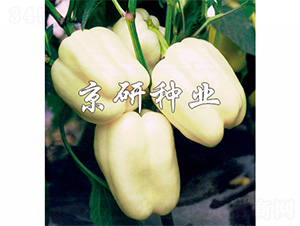 ����2̖-�����N��-����