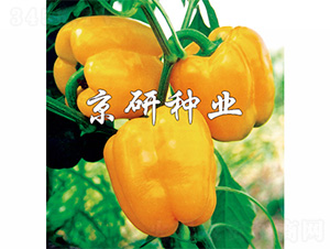 �S��2̖-�����N��-����