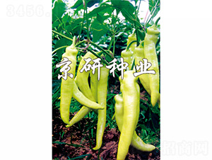 ����-�����N��-����