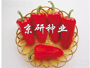 ����-�����N��-����