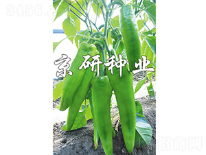 ����910-�����N��-����