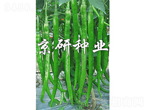 ����416-�����N��-����